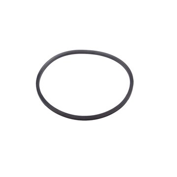 Guarnizione a labbra 180x6mm