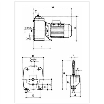 Pompa Centrifuga Autoadescante DAB DP 251 M Monofase 1,85 kW Aspirazione 27 m