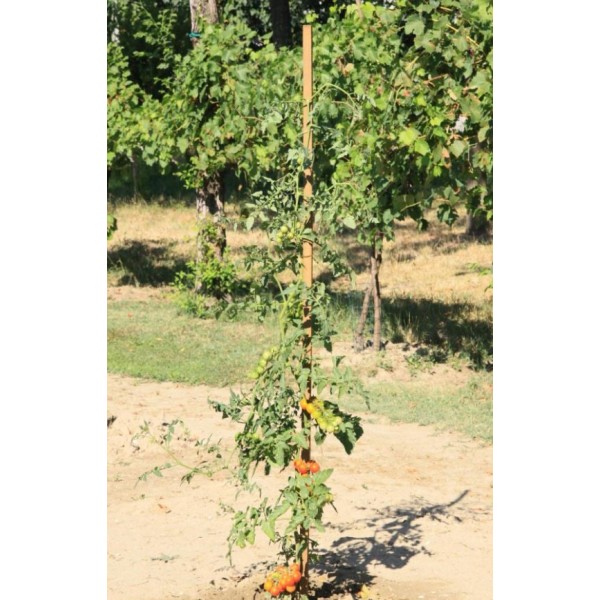 Confezione 9 pz di pali quadri tutore 2,5x2,5x210cm, color castagno