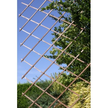 Grigliato glicine estendibile per delimitare e decorare giardini - 18